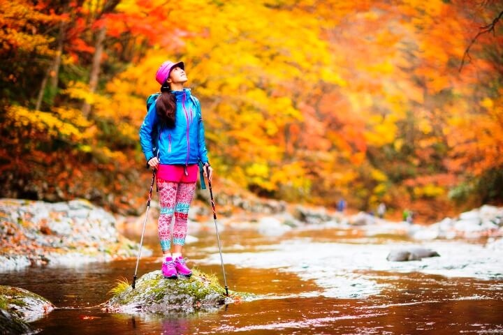 漫天红叶 东北地区的赏枫景点 精选话题 最新信息 星野集团 官网