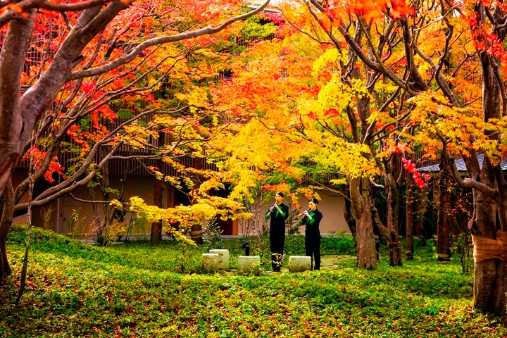 关东地区迎来绚烂美丽的红叶赏枫季 精选话题 最新信息 星野集团 官网